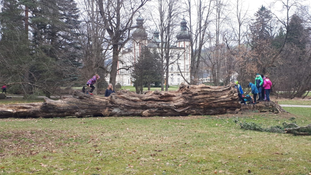 Jarní prázdniny v DDM
přihlašování spuštěno