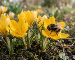 DDM a TS Oliver 1.května na Náměstí TGM 