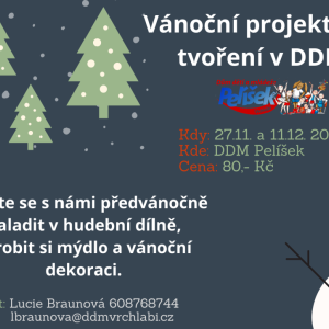 Vánoční projektová dílna