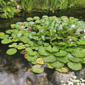 20250708_104403.jpg