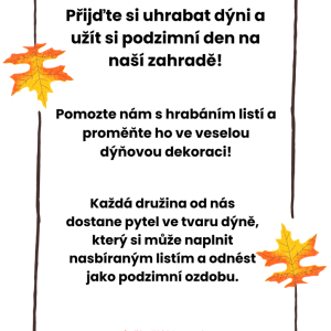 Hrabání listí na DDM